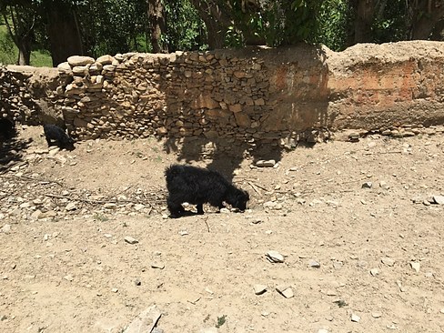 UNADJUSTEDNONRAW_thumb_3b99