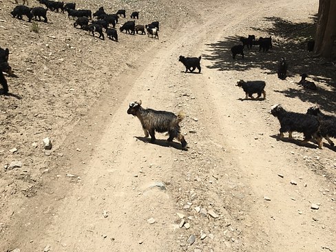 UNADJUSTEDNONRAW_thumb_3b9b