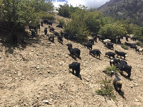 UNADJUSTEDNONRAW_thumb_3b9c