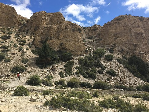 UNADJUSTEDNONRAW_thumb_3bfe