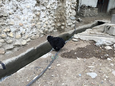 UNADJUSTEDNONRAW_thumb_3c52