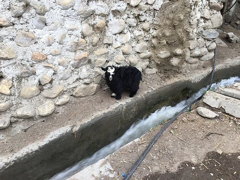 UNADJUSTEDNONRAW_thumb_3c53