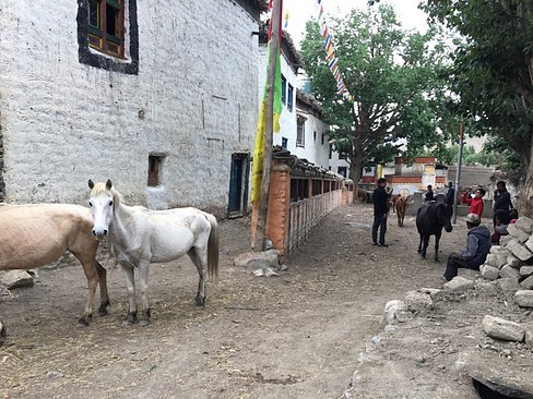 UNADJUSTEDNONRAW_thumb_3c5a