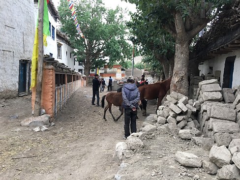 UNADJUSTEDNONRAW_thumb_3c5b