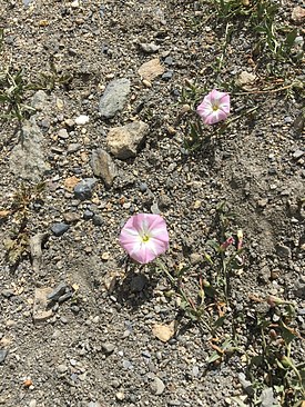 UNADJUSTEDNONRAW_thumb_3c75