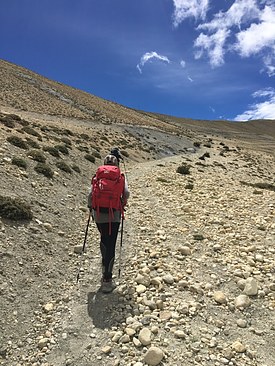 UNADJUSTEDNONRAW_thumb_3c80