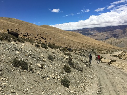 UNADJUSTEDNONRAW_thumb_3c8f