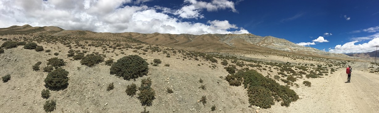 UNADJUSTEDNONRAW_thumb_3c92