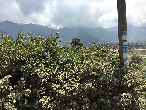 UNADJUSTEDNONRAW_thumb_3a5a