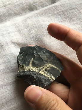 UNADJUSTEDNONRAW_thumb_3ac1