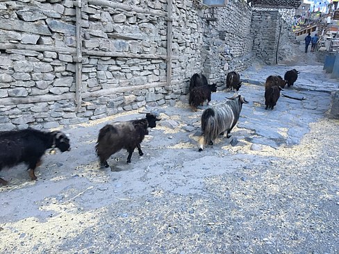 UNADJUSTEDNONRAW_thumb_3ad0