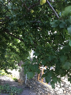 UNADJUSTEDNONRAW_thumb_3b3c