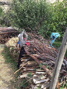 UNADJUSTEDNONRAW_thumb_3b3d