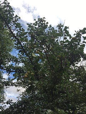 UNADJUSTEDNONRAW_thumb_3b45