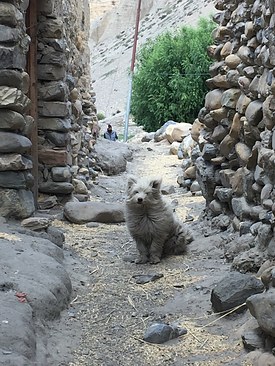 UNADJUSTEDNONRAW_thumb_3b48