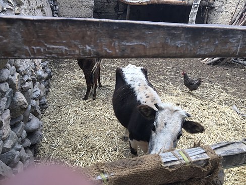 UNADJUSTEDNONRAW_thumb_3b49