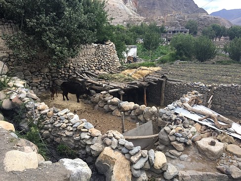 UNADJUSTEDNONRAW_thumb_3b4a