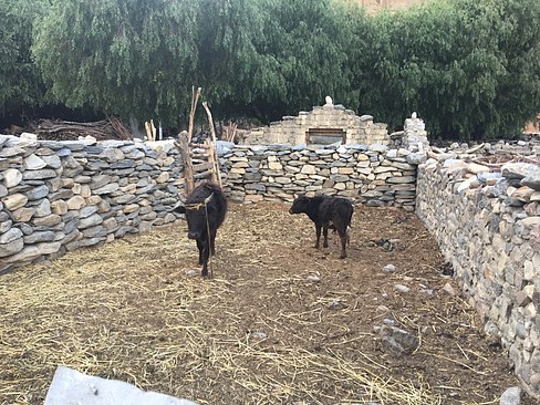 UNADJUSTEDNONRAW_thumb_3b55