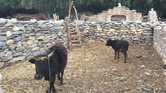 UNADJUSTEDNONRAW_thumb_3b56