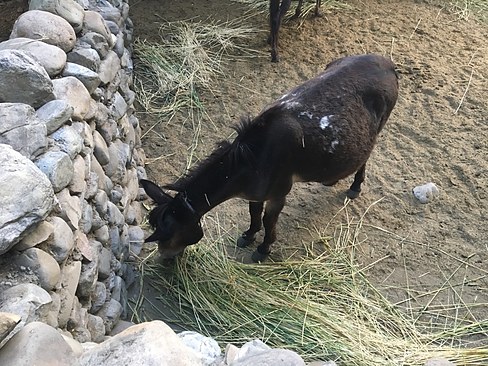 UNADJUSTEDNONRAW_thumb_3b57