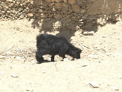 UNADJUSTEDNONRAW_thumb_3b9a