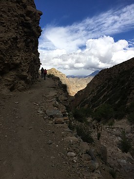 UNADJUSTEDNONRAW_thumb_3bad