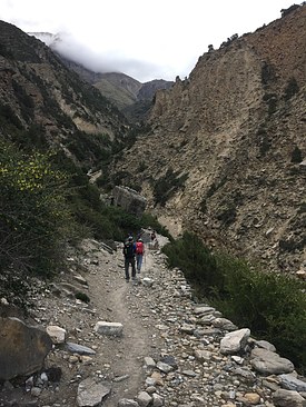 UNADJUSTEDNONRAW_thumb_3bb0