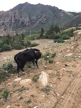 UNADJUSTEDNONRAW_thumb_3bcc