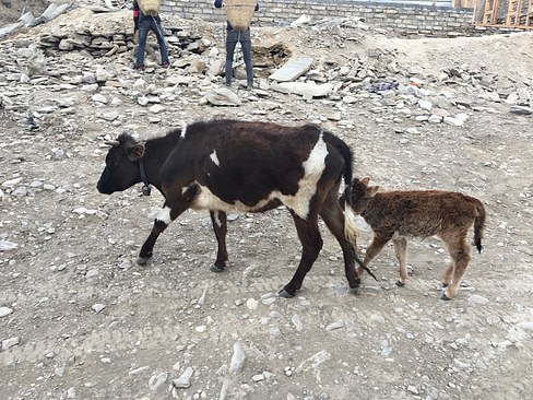 UNADJUSTEDNONRAW_thumb_3bf2