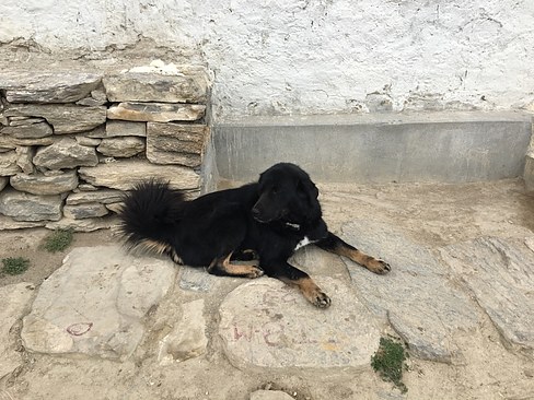 UNADJUSTEDNONRAW_thumb_3bf5