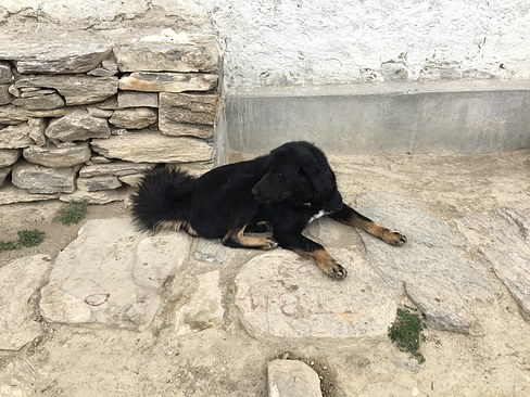 UNADJUSTEDNONRAW_thumb_3bf7