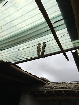 UNADJUSTEDNONRAW_thumb_3c0d