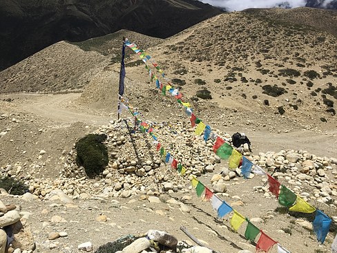 UNADJUSTEDNONRAW_thumb_3c1e