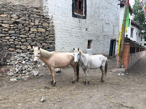 UNADJUSTEDNONRAW_thumb_3c59