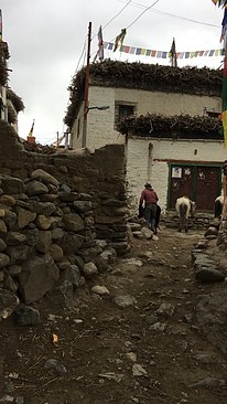 UNADJUSTEDNONRAW_thumb_3c5c