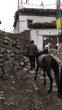 UNADJUSTEDNONRAW_thumb_3c5d