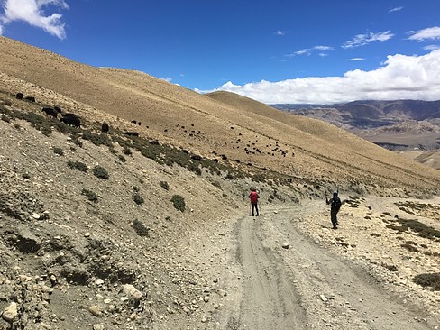 UNADJUSTEDNONRAW_thumb_3c8d