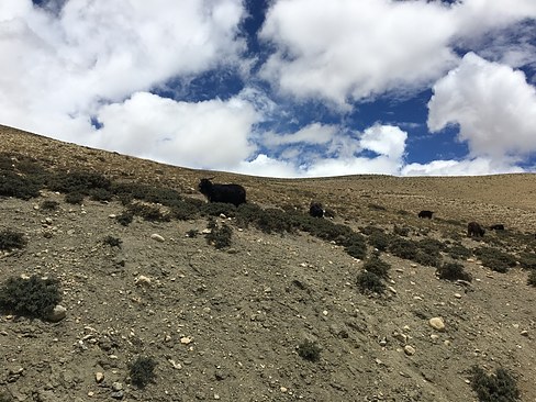 UNADJUSTEDNONRAW_thumb_3c8e