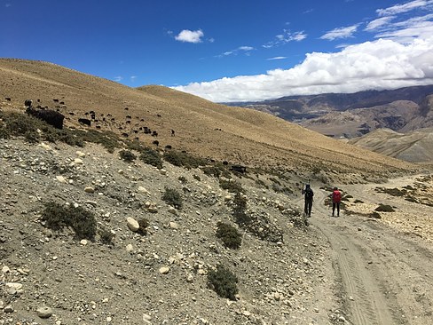 UNADJUSTEDNONRAW_thumb_3c8f