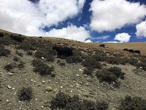 UNADJUSTEDNONRAW_thumb_3c91