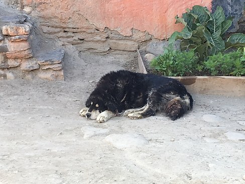 UNADJUSTEDNONRAW_thumb_3cbc