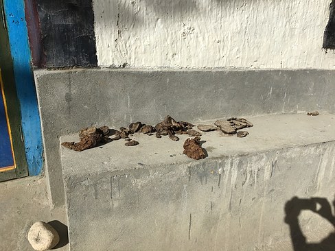 UNADJUSTEDNONRAW_thumb_3cca