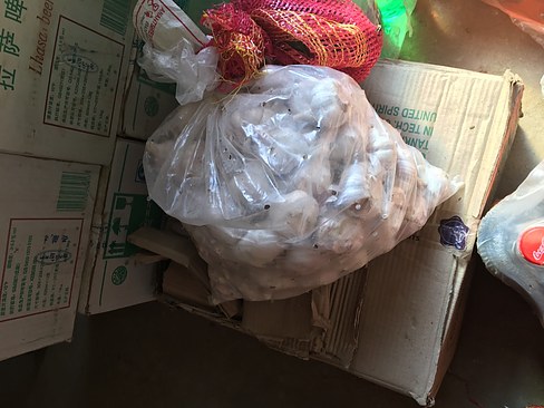 UNADJUSTEDNONRAW_thumb_3cd6