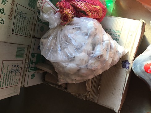 UNADJUSTEDNONRAW_thumb_3cd7