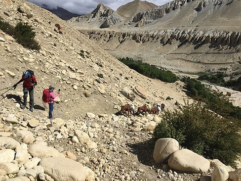 UNADJUSTEDNONRAW_thumb_3cdc