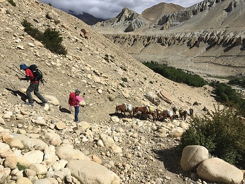 UNADJUSTEDNONRAW_thumb_3cdd