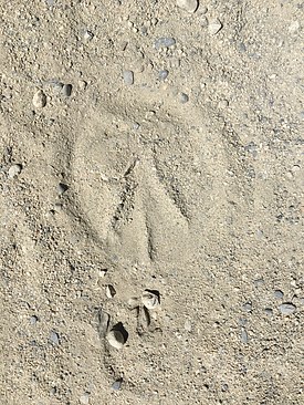 UNADJUSTEDNONRAW_thumb_3cf2