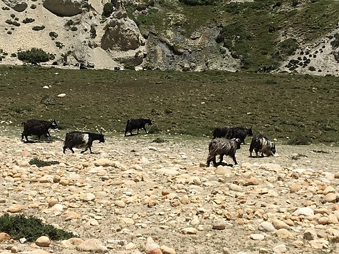 UNADJUSTEDNONRAW_thumb_3d06