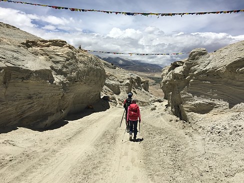 UNADJUSTEDNONRAW_thumb_3d1b