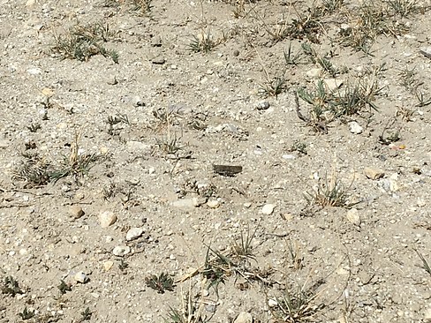 UNADJUSTEDNONRAW_thumb_3d5d